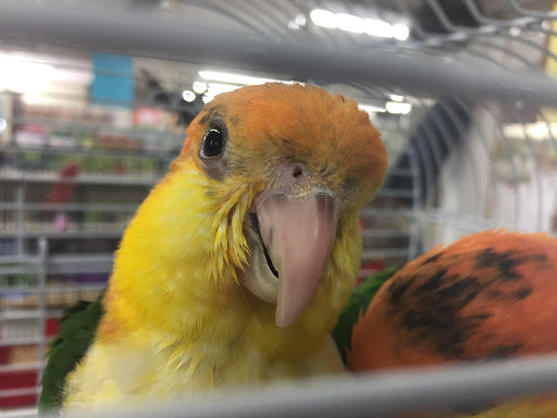 Pet Store «Teske Pet & Garden», reviews and photos, 2423 16th St, Moline, IL 61265, USA