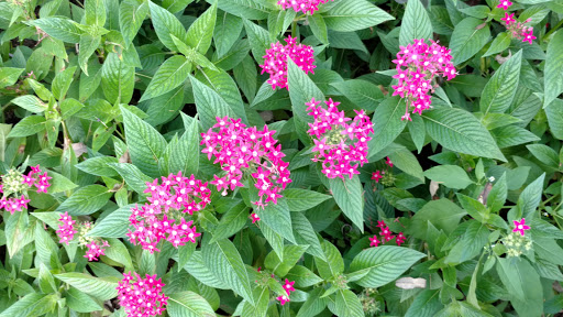 Zoo «Minnesota Zoo», reviews and photos, 13000 Zoo Blvd, Apple Valley, MN 55124, USA