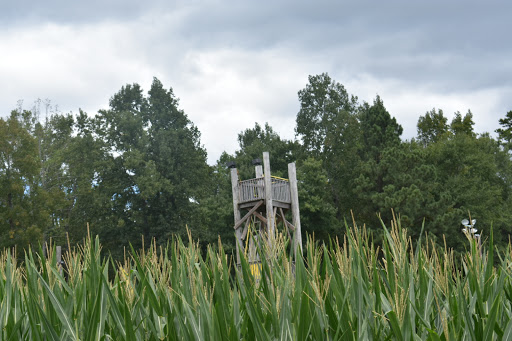 Farm «Buford Corn Maze.», reviews and photos, 4470 Bennett Rd, Buford, GA 30519, USA