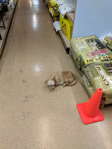 Pet Store «A to Z Pets», reviews and photos, 16010 SE Division St, Portland, OR 97236, USA