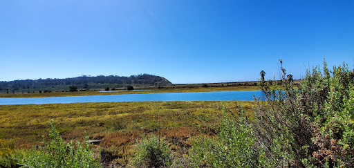 Bird Rock Coffee Roasters - Torrey Pines image