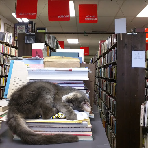 Book Store «John K. King Books North», reviews and photos, 22524 Woodward Ave, Ferndale, MI 48220, USA