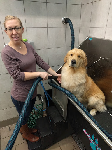 Pet Supply Store «Pet Supplies Plus», reviews and photos, 531 Monroe Ave, Rochester, NY 14607, USA