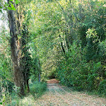 Photo n° 4 de l'avis de Frank.a fait le 15/09/2019 à 16:22 pour La pailleterie à Amilly