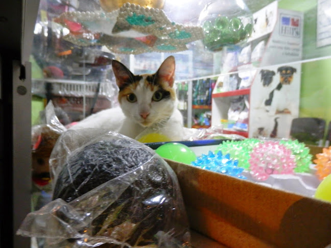 Veterinaria Ama - La Victoria