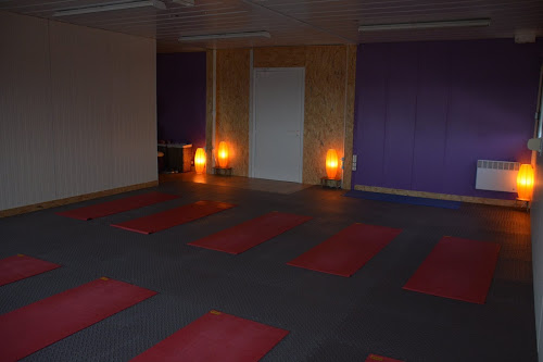 Centre de yoga Yoga Vendôme ( Yann Quantin ) Vendôme