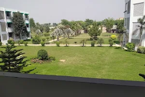 College of Agriculture, University of Sargodha image