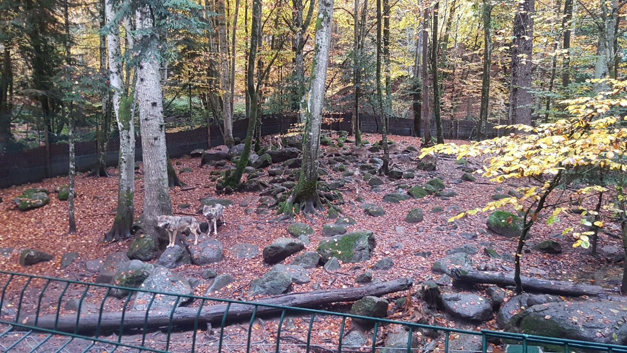 Photo n° 4 de l'avis de Nelly.a fait le 10/12/2019 à 06:52