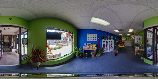 Florist «Xpressions Florist», reviews and photos, 14373 Blanco Rd, San Antonio, TX 78216, USA