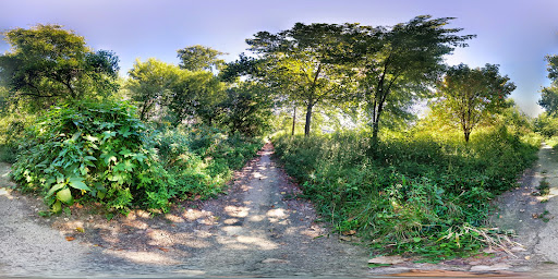 Golf Course «Shawnee Golf Course», reviews and photos, 460 Northwestern Pkwy, Louisville, KY 40212, USA