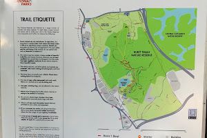 Bukit Timah Nature Reserve image