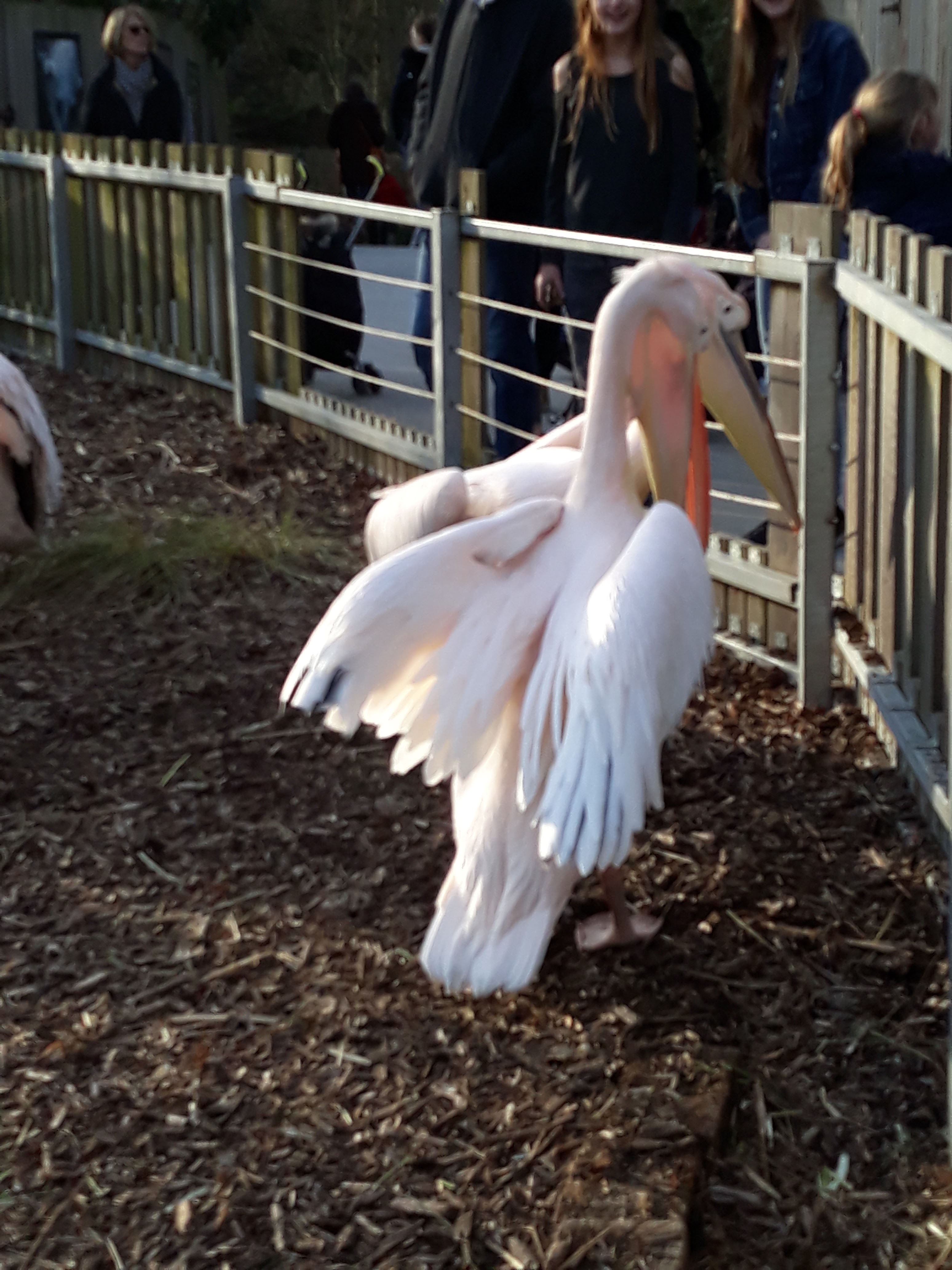 Photo n° 2 de l'avis de Priscillia.r fait le 18/02/2019 à 12:48