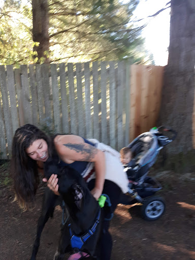 Golf Club «Meadowmeer Golf & Country Club», reviews and photos, 8530 Renny Ln NE, Bainbridge Island, WA 98110, USA