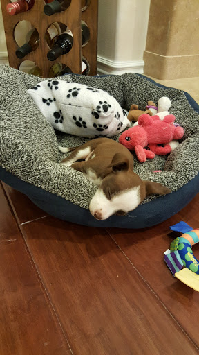 Country Club «Wood Ranch Country Club», reviews and photos, 301 N Wood Ranch Pkwy, Simi Valley, CA 93065, USA