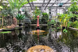 Universiteit Gent - Botanical Garden image