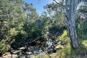 Gardiners Creek Trail image