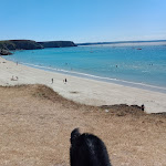 Photo n° 5 de l'avis de Marc.r fait le 09/08/2022 à 17:23 pour Chez Germaine à Camaret-sur-Mer