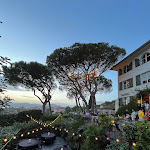 Photo n° 2 de l'avis de Steph. fait le 30/04/2024 à 05:25 pour LE TIGRR Ermitage à Saint-Tropez