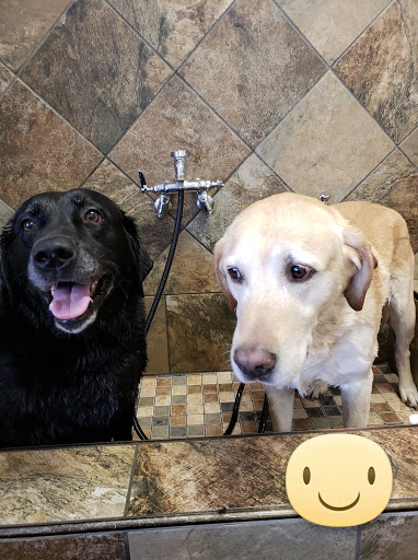 Pet Supply Store «Pet Valu», reviews and photos, 5007 Honeygo Center Dr, Perry Hall, MD 21128, USA