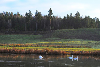 Steningedalens naturreservat