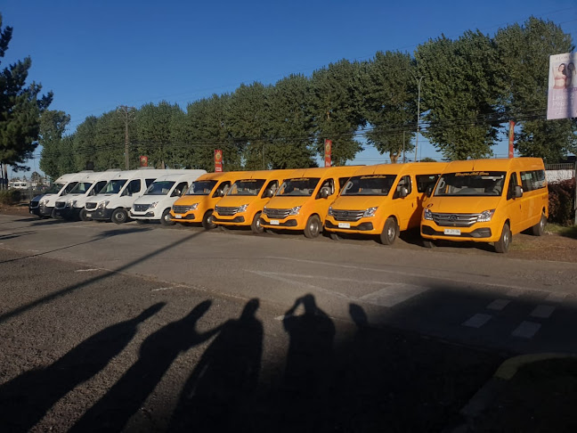 Opiniones de Buses Del Sur en Temuco - Servicio de transporte