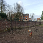 Photo n° 1 de l'avis de Julie.o fait le 12/02/2019 à 16:46 pour Parc Urbain à Billy-Montigny