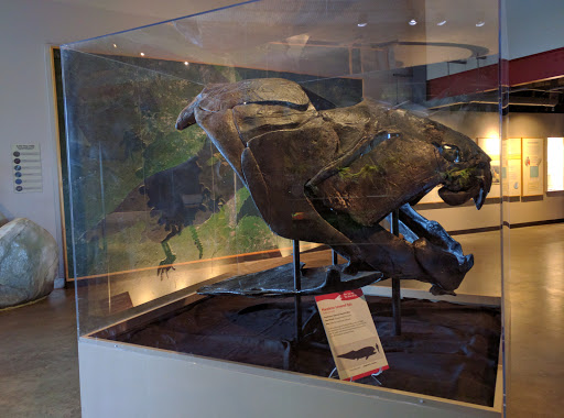 Aquarium «Great Lakes Aquarium», reviews and photos, 353 Harbor Dr, Duluth, MN 55802, USA