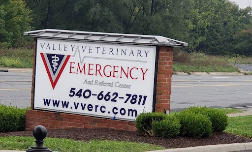 210 Costello Dr, Winchester, VA 22602, USA