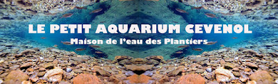 Écomusée Maison de l'eau des Plantiers à Les Plantiers