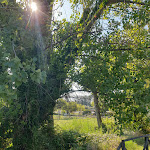 Photo n°3 de l'avis de Barbara.a fait le 30/08/2023 à 21:43 sur le  Cinciallegra Civitanova à Civitanova Marche