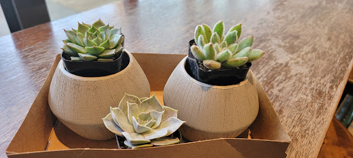 Florist «Wisteria Rockridge», reviews and photos, 6307 College Ave, Oakland, CA 94618, USA