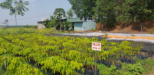 Top 20 cửa hàng online Huyện Phú Riềng Bình Phước 2022