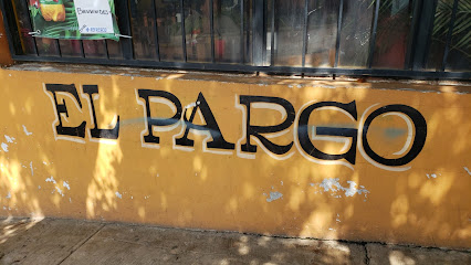 EL Pargo - Centro, 61650 Tacámbaro, Michoacán, Mexico