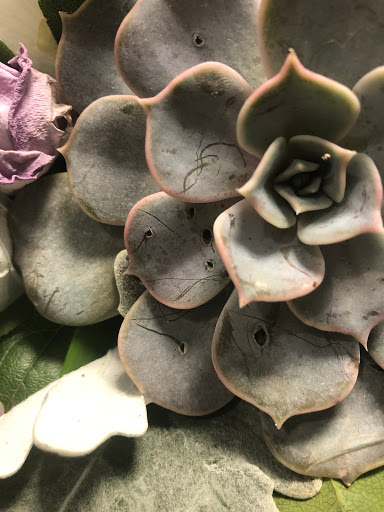 Florist «Mystic Florist», reviews and photos, 414 Mystic Ave, Somerville, MA 02145, USA