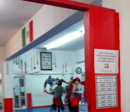 Samoa - Lima Lama . MMA . Judo photo