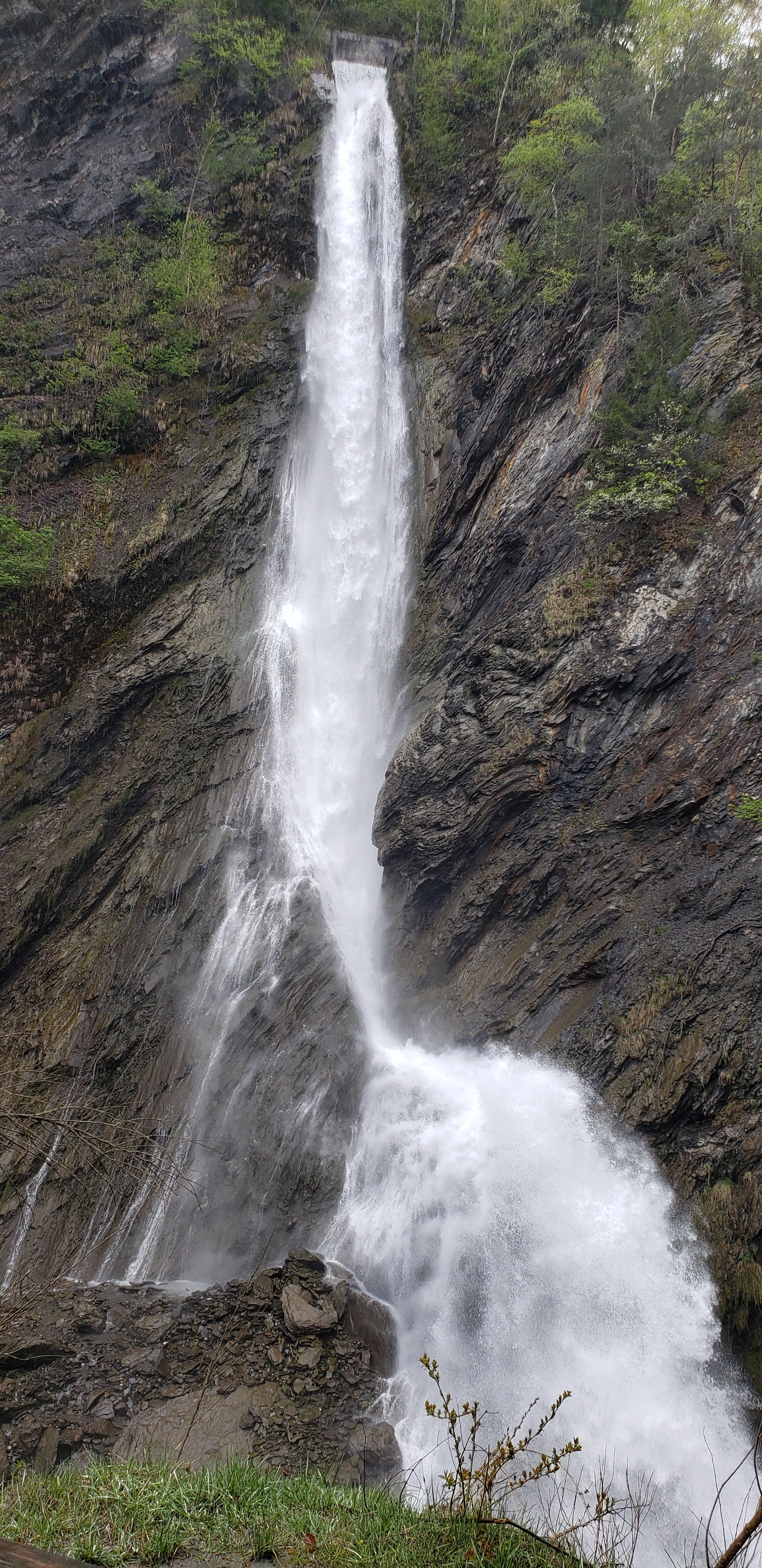 Photo n° 4 de l'avis de CHARTREUSE.4 fait le 24/04/2022 à 12:01