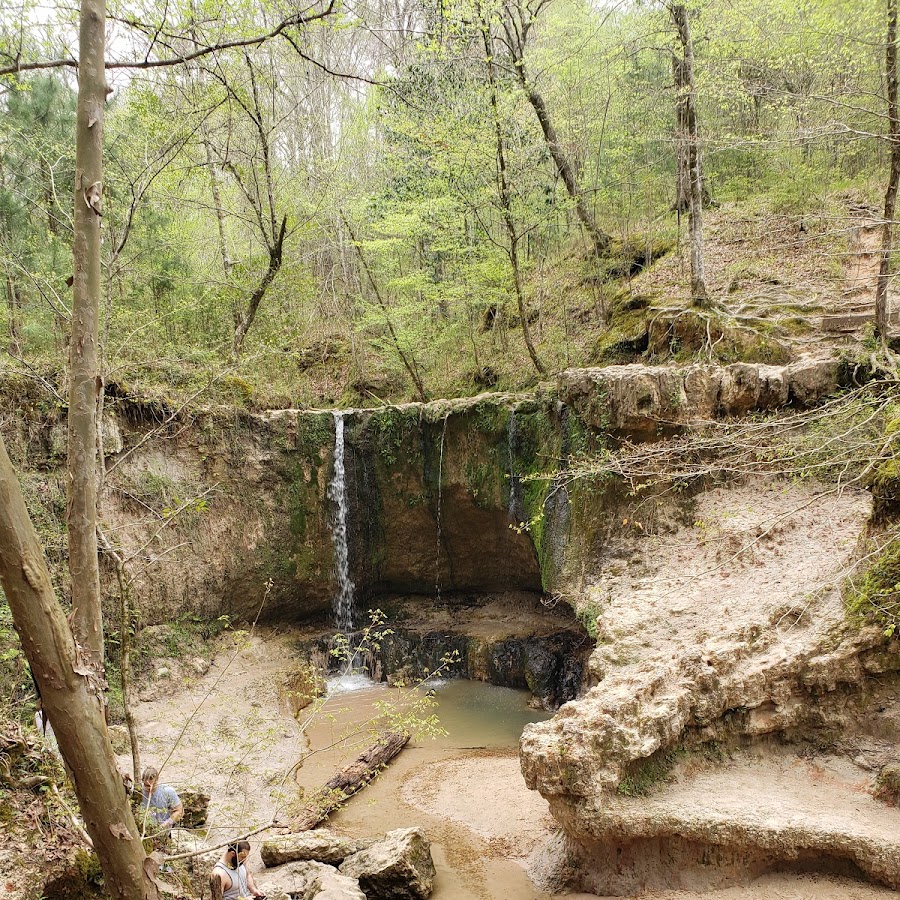 Clark Creek Natural Area