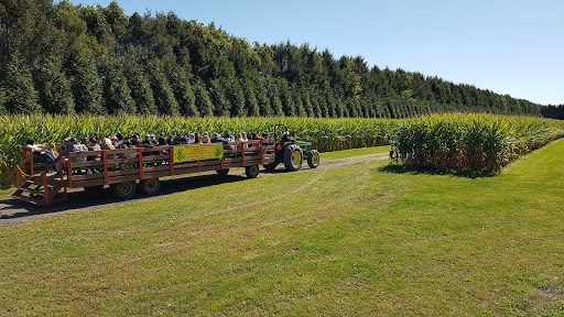 Childrens Farm «Best Long Island Pumpkin Picking», reviews and photos, 250 Old Country Rd, Melville, NY 11747, USA