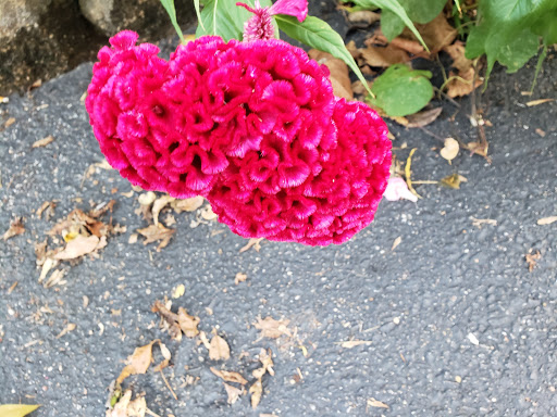 Auto Repair Shop «Quality Collision», reviews and photos, 2110 S Walnut St, Bloomington, IN 47401, USA