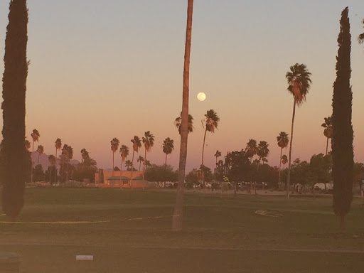 Golf Course «Desert Sands Golf Course», reviews and photos, 1922 S 74th St, Mesa, AZ 85209, USA