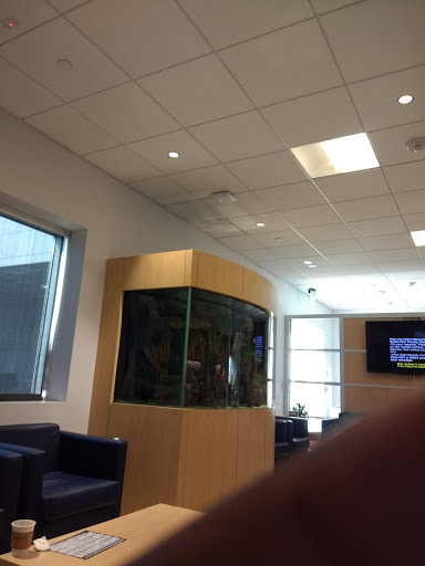 Chevrolet Dealer «Gunn Chevrolet», reviews and photos, 16550 I-35, Selma, TX 78154, USA