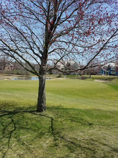Golf Course «Ruffled Feathers Golf Course», reviews and photos, 1 Pete Dye Dr, Lemont, IL 60439, USA