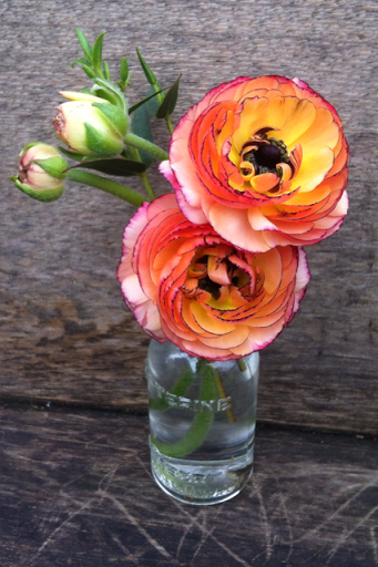 Florist «Goose Hollow Flowers», reviews and photos, 1219 SW 19th Ave, Portland, OR 97205, USA