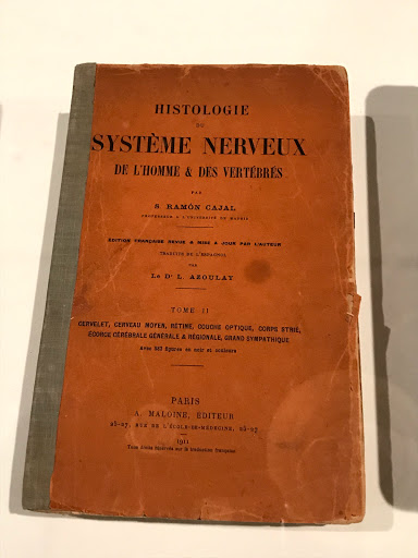 Art Gallery «Grey Art Gallery», reviews and photos, 100 Washington Square E, New York, NY 10003, USA