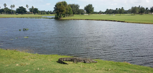 Private Golf Course «Lago Mar Country Club», reviews and photos, 500 NW 127th Ave, Fort Lauderdale, FL 33325, USA