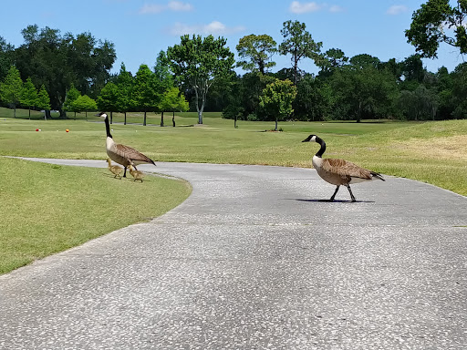 Golf Club «Chi Chi Rodriguez Golf Club», reviews and photos, 3030 N McMullen Booth Rd, Clearwater, FL 33761, USA