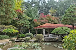 Geumgang Botanical Garden image