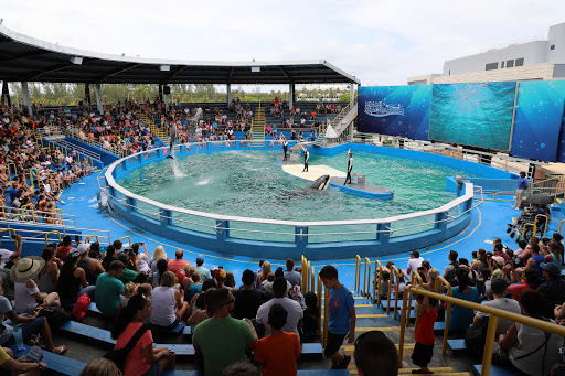 Aquarium «Miami Seaquarium», reviews and photos, 4400 Rickenbacker Causeway, Key Biscayne, FL 33149, USA