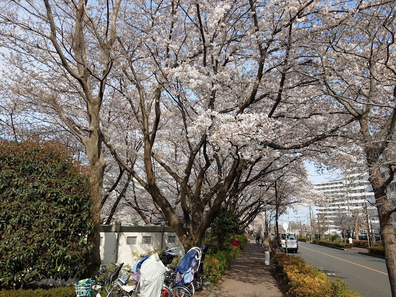 北第一公園