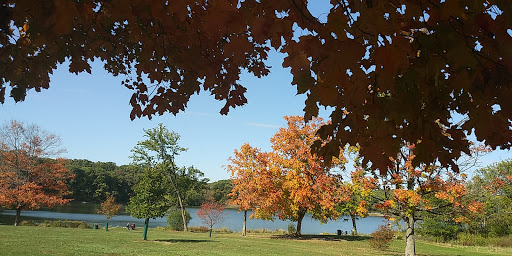 Nature Preserve «Pulaski Woods East», reviews and photos, 9600 Wolf Rd, Willow Springs, IL 60480, USA
